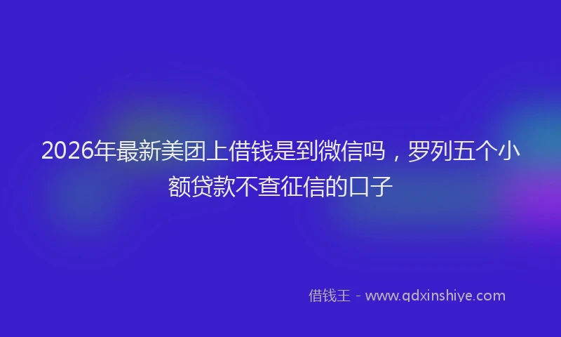 2026年最新美团上借钱是到微信吗，罗列五个小额贷款不查征信的口子