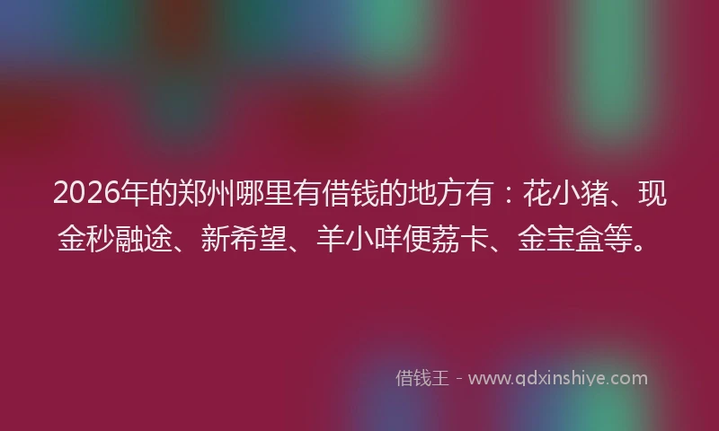 2026年的郑州哪里有借钱的地方有：花小猪、现金秒融途、新希望、羊小咩便荔卡、金宝盒等。