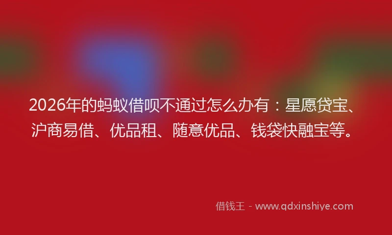 2026年的蚂蚁借呗不通过怎么办有：星愿贷宝、沪商易借、优品租、随意优品、钱袋快融宝等。