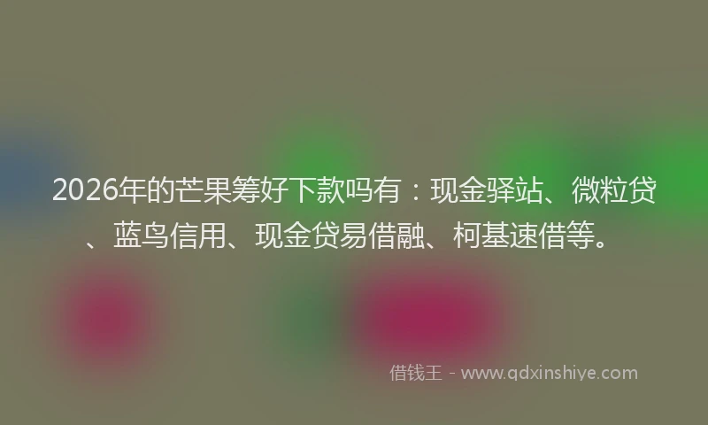 2026年的芒果筹好下款吗有：现金驿站、微粒贷、蓝鸟信用、现金贷易借融、柯基速借等。