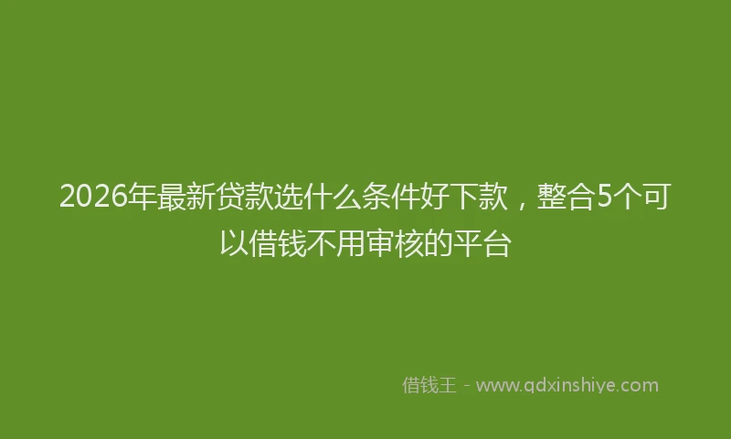 2026年最新贷款选什么条件好下款，整合5个可以借钱不用审核的平台