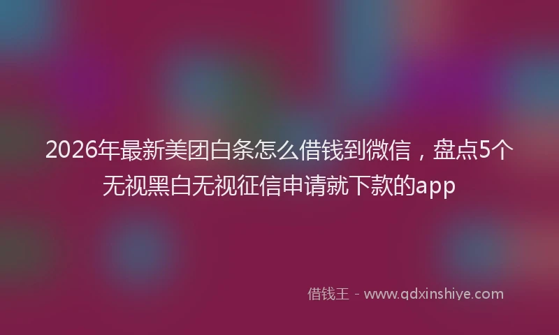 2026年最新美团白条怎么借钱到微信，盘点5个无视黑白无视征信申请就下款的app