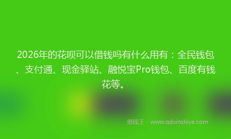 2026年的花呗可以借钱吗有什么用有：全民钱包、支付通、现金驿站、融悦宝Pro钱包、百度有钱花等。