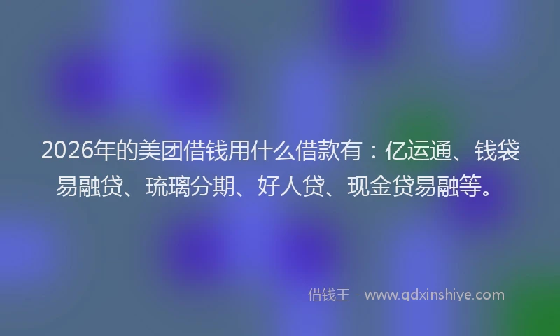 2026年的美团借钱用什么借款有：亿运通、钱袋易融贷、琉璃分期、好人贷、现金贷易融等。