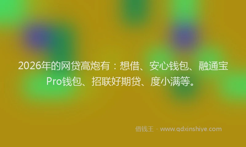 2026年的网贷高炮有：想借、安心钱包、融通宝Pro钱包、招联好期贷、度小满等。
