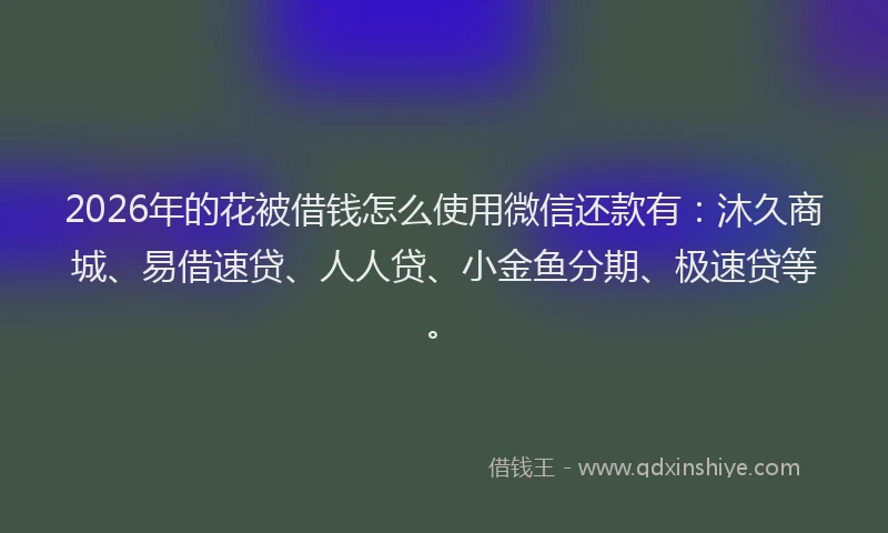 2026年的花被借钱怎么使用微信还款有：沐久商城、易借速贷、人人贷、小金鱼分期、极速贷等。