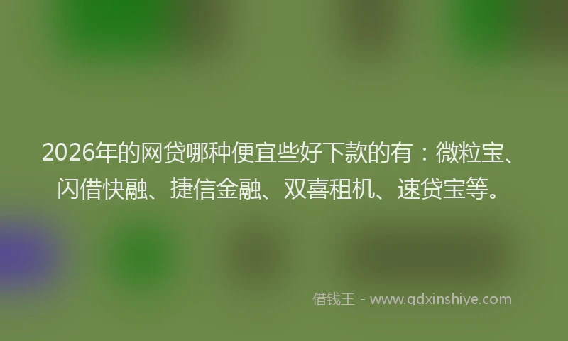 2026年的网贷哪种便宜些好下款的有：微粒宝、闪借快融、捷信金融、双喜租机、速贷宝等。