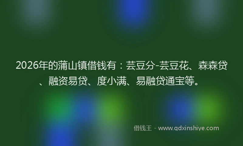 2026年的蒲山镇借钱有：芸豆分-芸豆花、森森贷、融资易贷、度小满、易融贷通宝等。