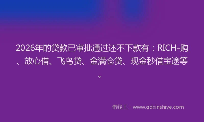 2026年的贷款已审批通过还不下款有：RICH-购、放心借、飞鸟贷、金满仓贷、现金秒借宝途等。