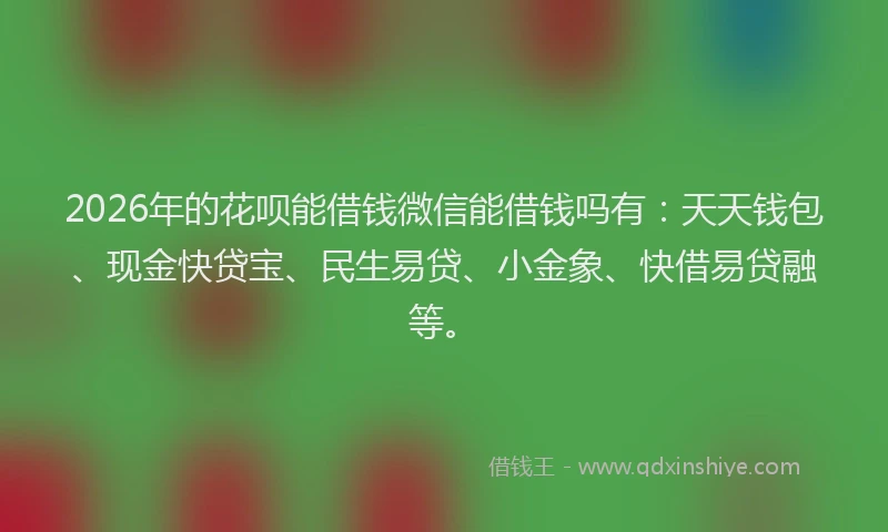 2026年的花呗能借钱微信能借钱吗有：天天钱包、现金快贷宝、民生易贷、小金象、快借易贷融等。