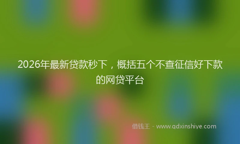 2026年最新贷款秒下，概括五个不查征信好下款的网贷平台