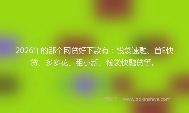 2026年的那个网贷好下款有：钱袋速融、首E快贷、多多花、租小新、钱袋快融贷等。