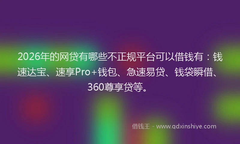2026年的网贷有哪些不正规平台可以借钱有：钱速达宝、速享Pro+钱包、急速易贷、钱袋瞬借、360尊享贷等。