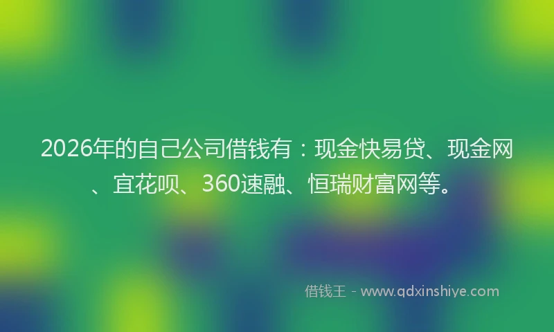 2026年的自己公司借钱有：现金快易贷、现金网、宜花呗、360速融、恒瑞财富网等。