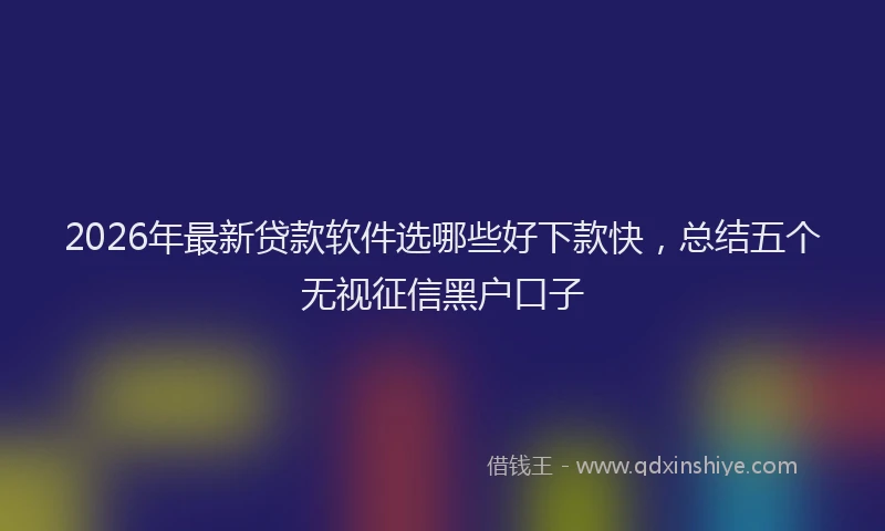 2026年最新贷款软件选哪些好下款快，总结五个无视征信黑户口子