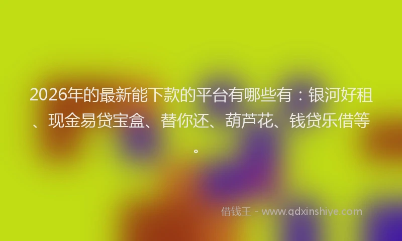 2026年的最新能下款的平台有哪些有：银河好租、现金易贷宝盒、替你还、葫芦花、钱贷乐借等。