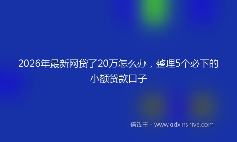 2026年最新网贷了20万怎么办，整理5个必下的小额贷款口子