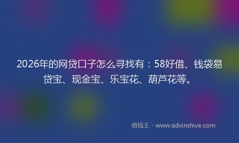 2026年的网贷口子怎么寻找有：58好借、钱袋易贷宝、现金宝、乐宝花、葫芦花等。