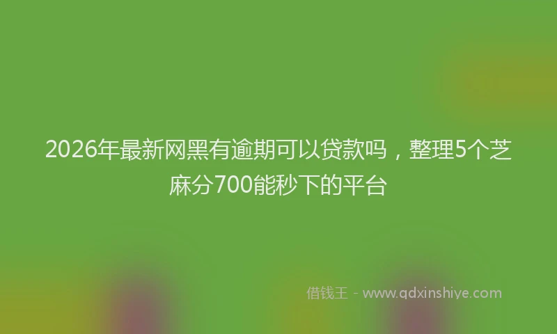 2026年最新网黑有逾期可以贷款吗，整理5个芝麻分700能秒下的平台