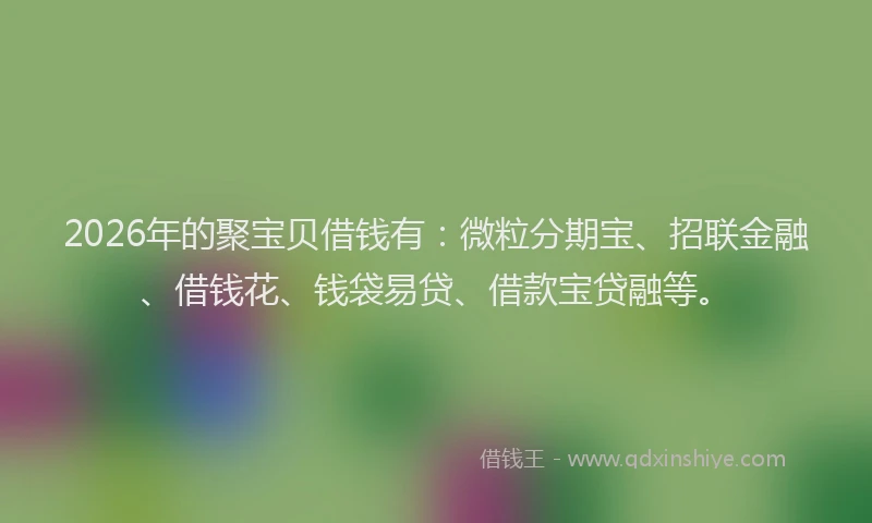2026年的聚宝贝借钱有：微粒分期宝、招联金融、借钱花、钱袋易贷、借款宝贷融等。