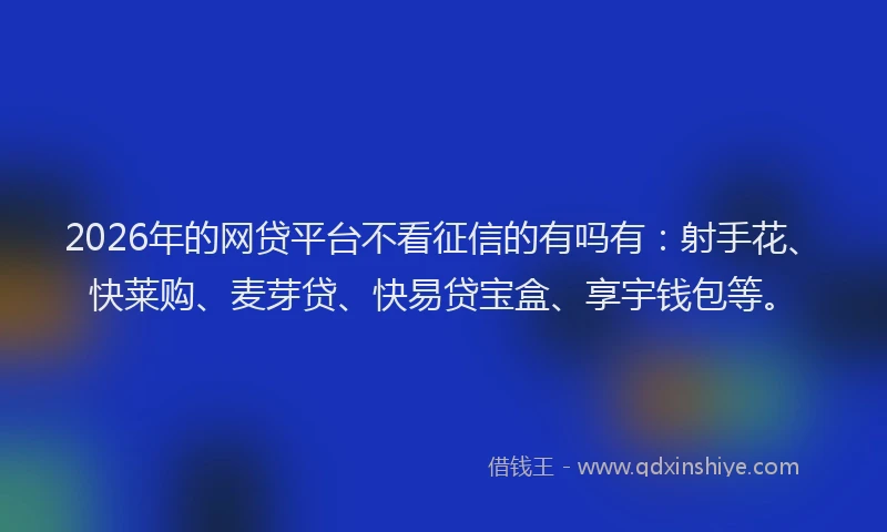 2026年的网贷平台不看征信的有吗有：射手花、快莱购、麦芽贷、快易贷宝盒、享宇钱包等。
