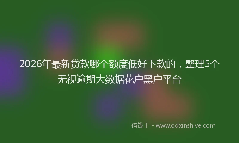 2026年最新贷款哪个额度低好下款的，整理5个无视逾期大数据花户黑户平台