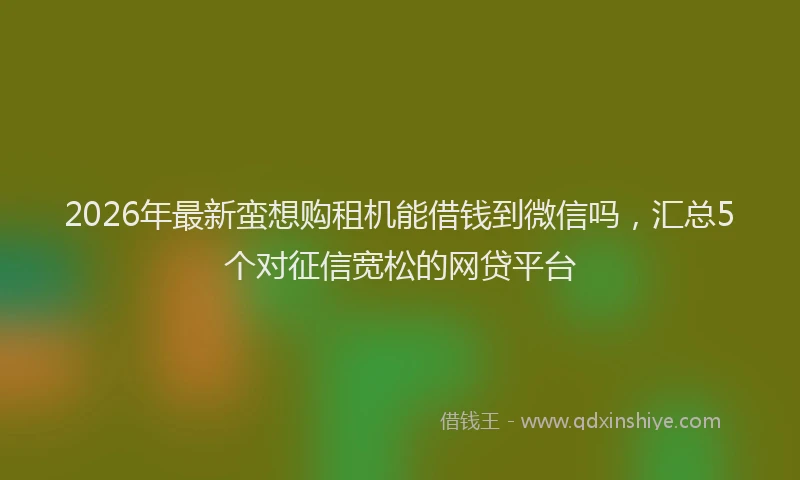 2026年最新蛮想购租机能借钱到微信吗，汇总5个对征信宽松的网贷平台