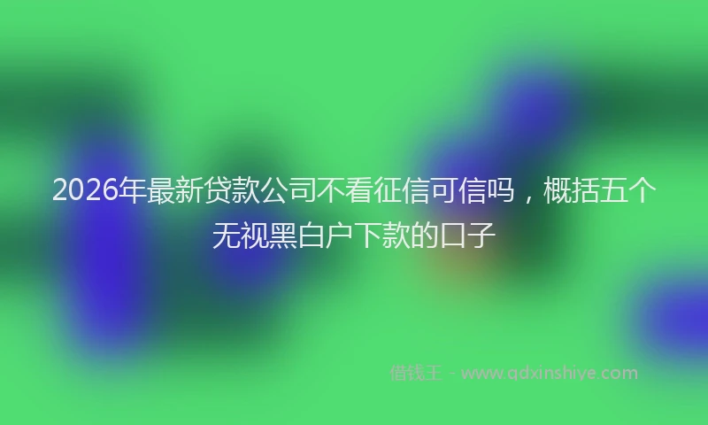 2026年最新贷款公司不看征信可信吗，概括五个无视黑白户下款的口子