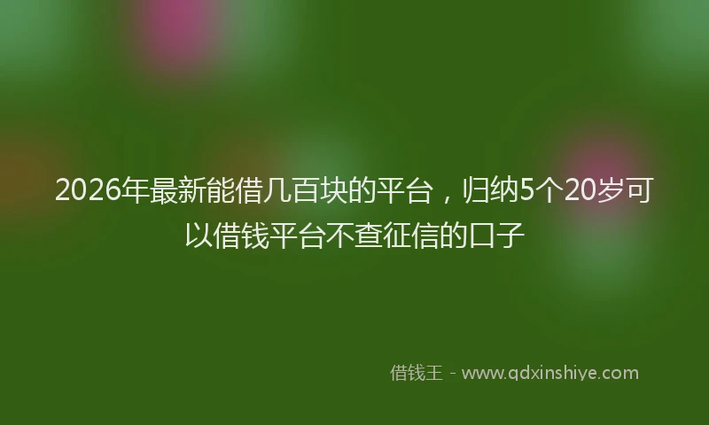 2026年最新能借几百块的平台，归纳5个20岁可以借钱平台不查征信的口子
