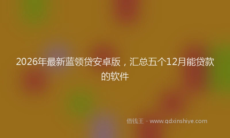 2026年最新蓝领贷安卓版，汇总五个12月能贷款的软件