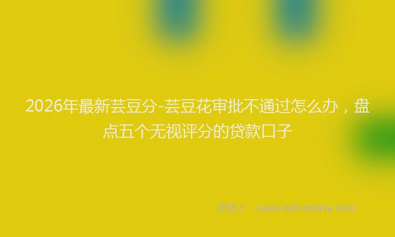 2026年最新芸豆分-芸豆花审批不通过怎么办，盘点五个无视评分的贷款口子