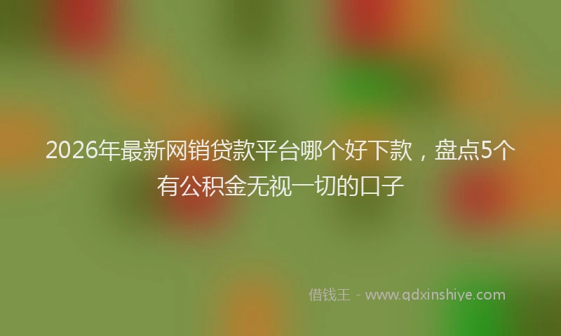 2026年最新网销贷款平台哪个好下款，盘点5个有公积金无视一切的口子