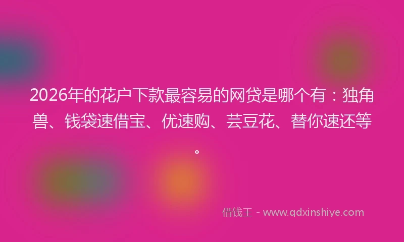 2026年的花户下款最容易的网贷是哪个有：独角兽、钱袋速借宝、优速购、芸豆花、替你速还等。