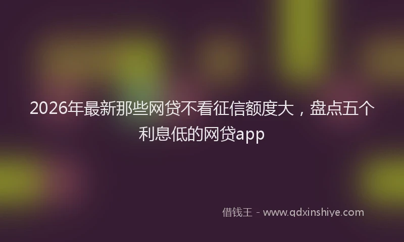 2026年最新那些网贷不看征信额度大，盘点五个利息低的网贷app