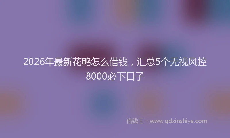 2026年最新花鸭怎么借钱，汇总5个无视风控8000必下口子