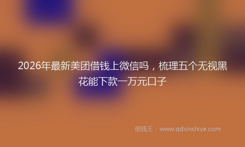 2026年最新美团借钱上微信吗，梳理五个无视黑花能下款一万元口子