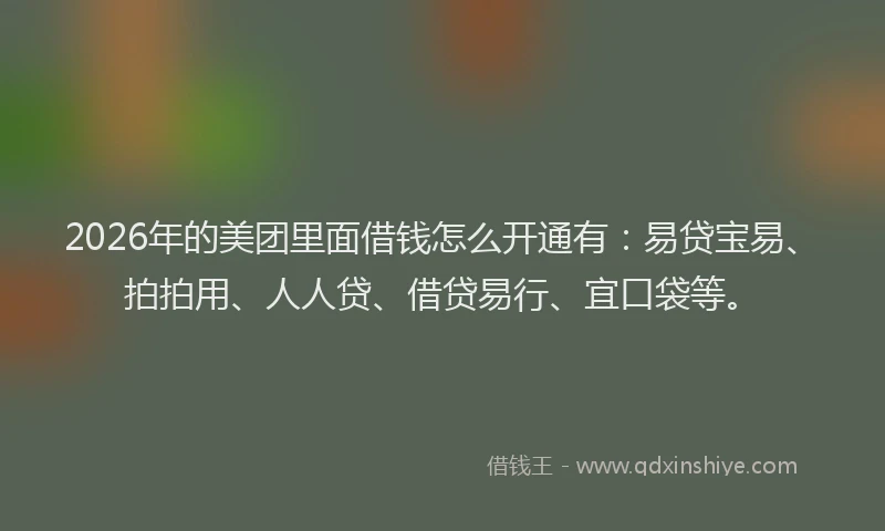 2026年的美团里面借钱怎么开通有：易贷宝易、拍拍用、人人贷、借贷易行、宜口袋等。