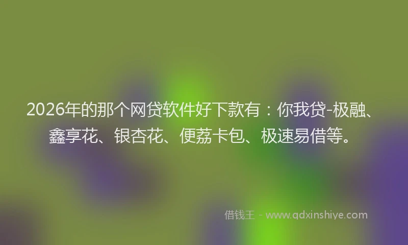 2026年的那个网贷软件好下款有：你我贷-极融、鑫享花、银杏花、便荔卡包、极速易借等。