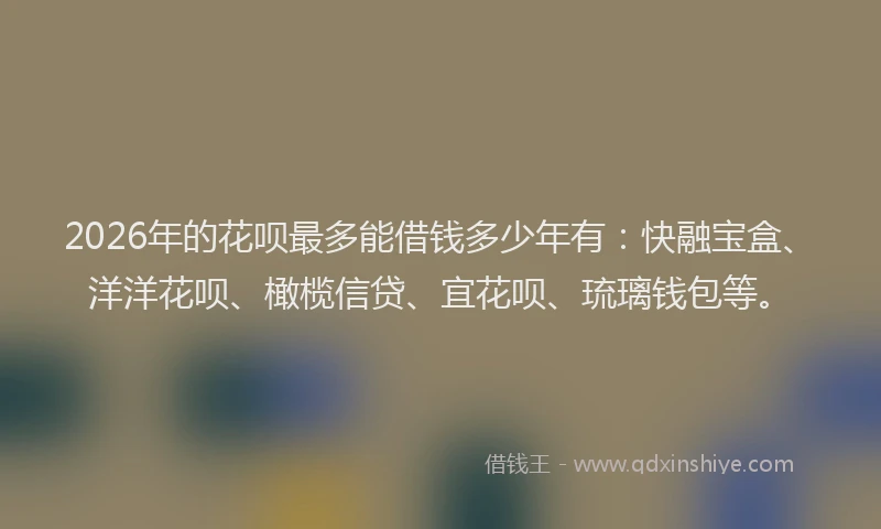 2026年的花呗最多能借钱多少年有：快融宝盒、洋洋花呗、橄榄信贷、宜花呗、琉璃钱包等。