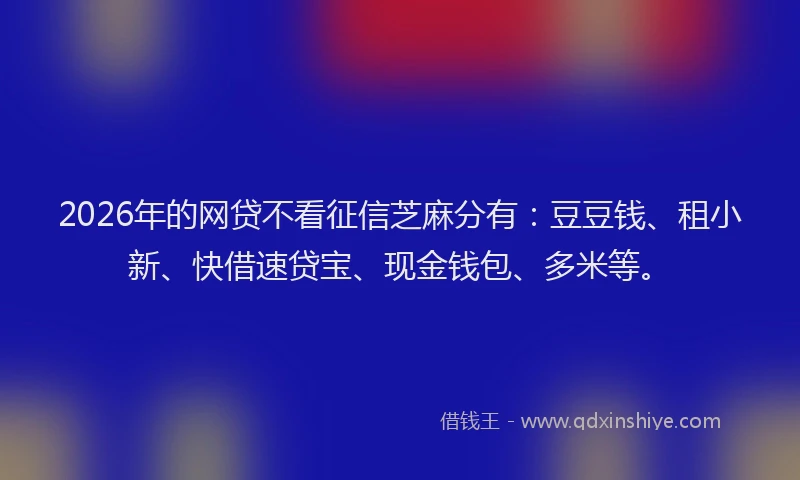2026年的网贷不看征信芝麻分有：豆豆钱、租小新、快借速贷宝、现金钱包、多米等。