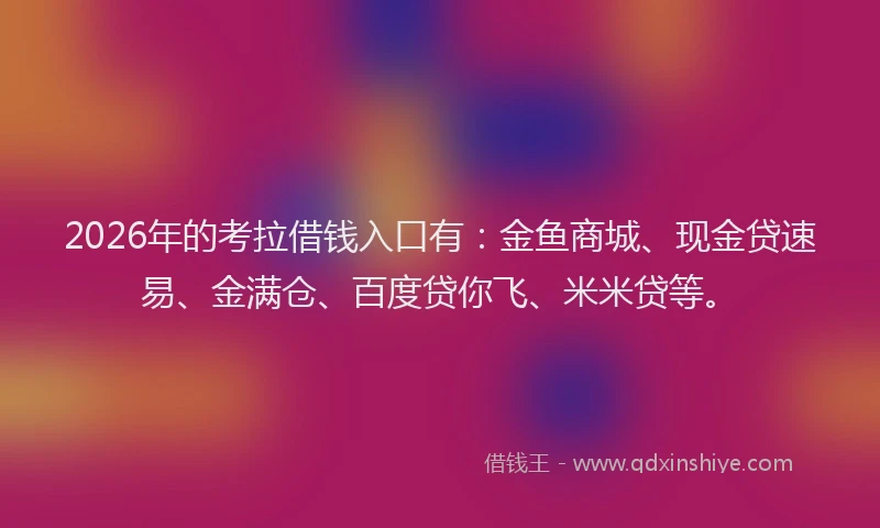 2026年的考拉借钱入口有：金鱼商城、现金贷速易、金满仓、百度贷你飞、米米贷等。