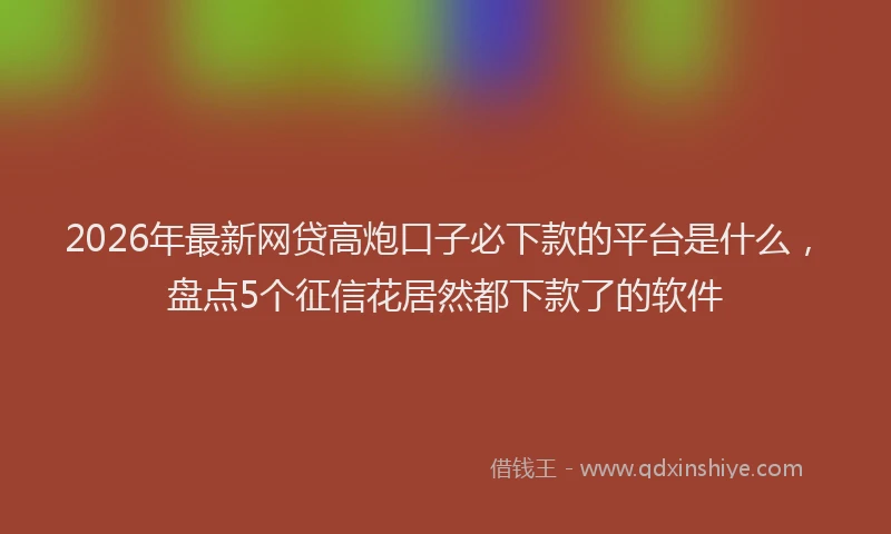 2026年最新网贷高炮口子必下款的平台是什么，盘点5个征信花居然都下款了的软件