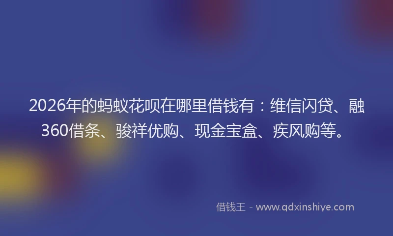 2026年的蚂蚁花呗在哪里借钱有：维信闪贷、融360借条、骏祥优购、现金宝盒、疾风购等。