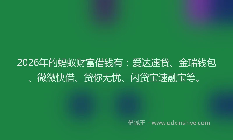 2026年的蚂蚁财富借钱有：爱达速贷、金瑞钱包、微微快借、贷你无忧、闪贷宝速融宝等。