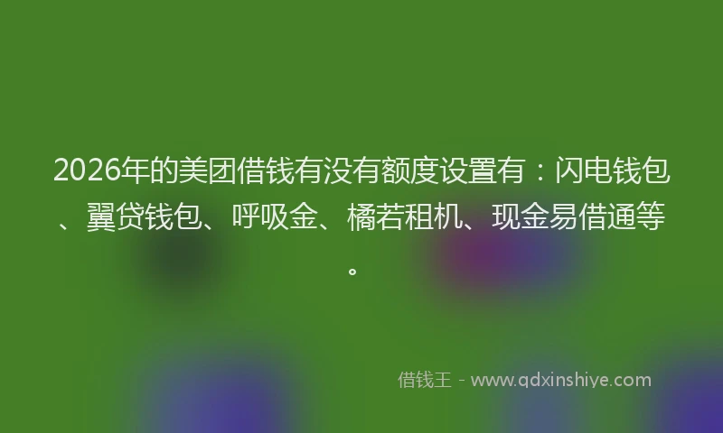 2026年的美团借钱有没有额度设置有：闪电钱包、翼贷钱包、呼吸金、橘若租机、现金易借通等。