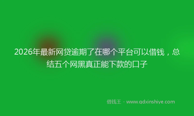 2026年最新网贷逾期了在哪个平台可以借钱，总结五个网黑真正能下款的口子