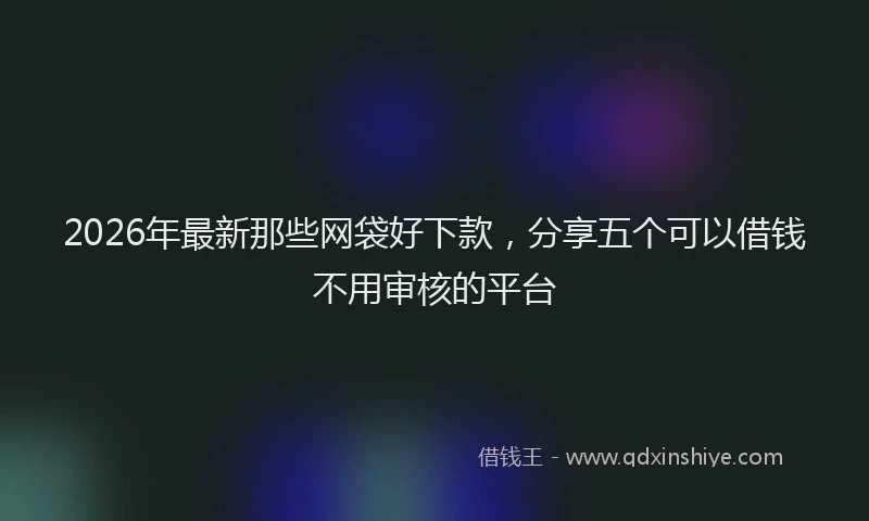 2026年最新那些网袋好下款，分享五个可以借钱不用审核的平台