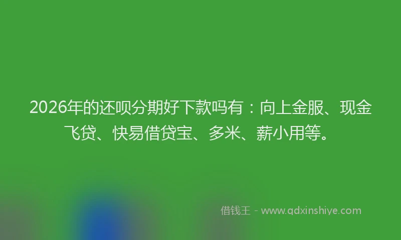 2026年的还呗分期好下款吗有：向上金服、现金飞贷、快易借贷宝、多米、薪小用等。