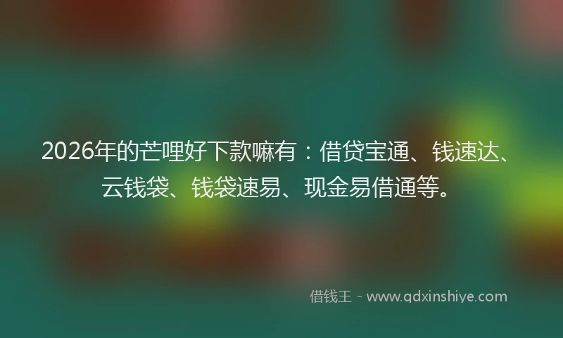 2026年的芒哩好下款嘛有：借贷宝通、钱速达、云钱袋、钱袋速易、现金易借通等。