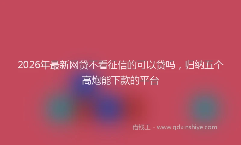 2026年最新网贷不看征信的可以贷吗，归纳五个高炮能下款的平台